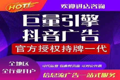 网络推广策略：竞价广告的实践案例
